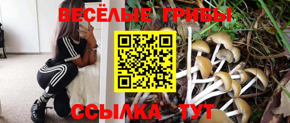 продажа наркотиков  Псилоцибиновые грибы мухоморы  Вход с VPN  Каменск-Уральский 